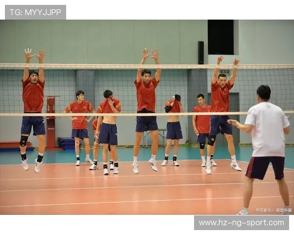 成都排球队团队协作的创新变革与热议探讨